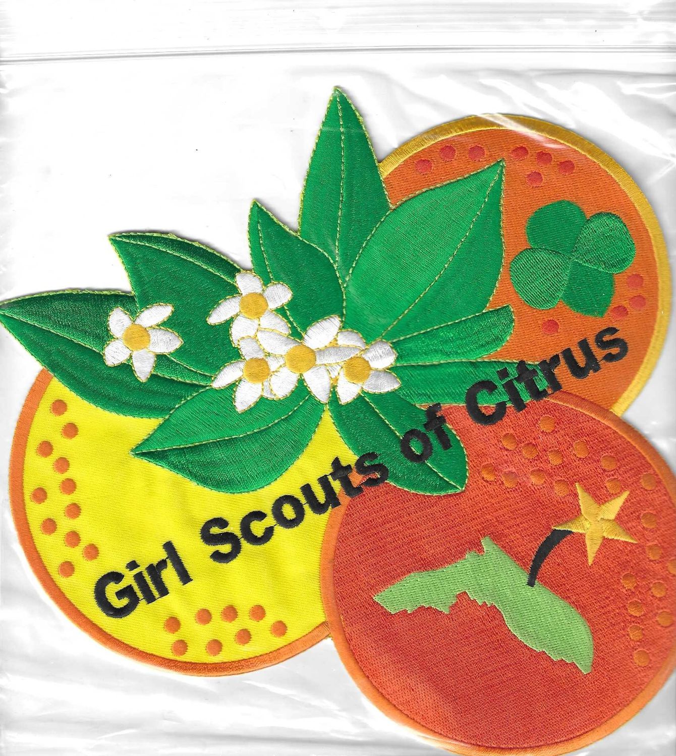 Citrus Council of GS large jacket patch(FL)  8 inches  Rare