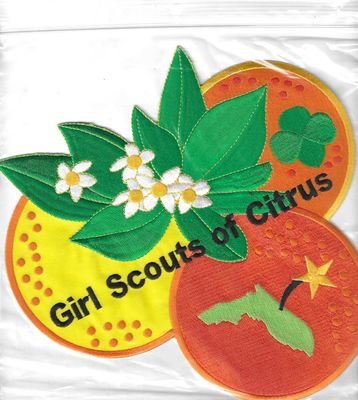 Citrus Council of GS large jacket patch(FL)  8 inches  Rare