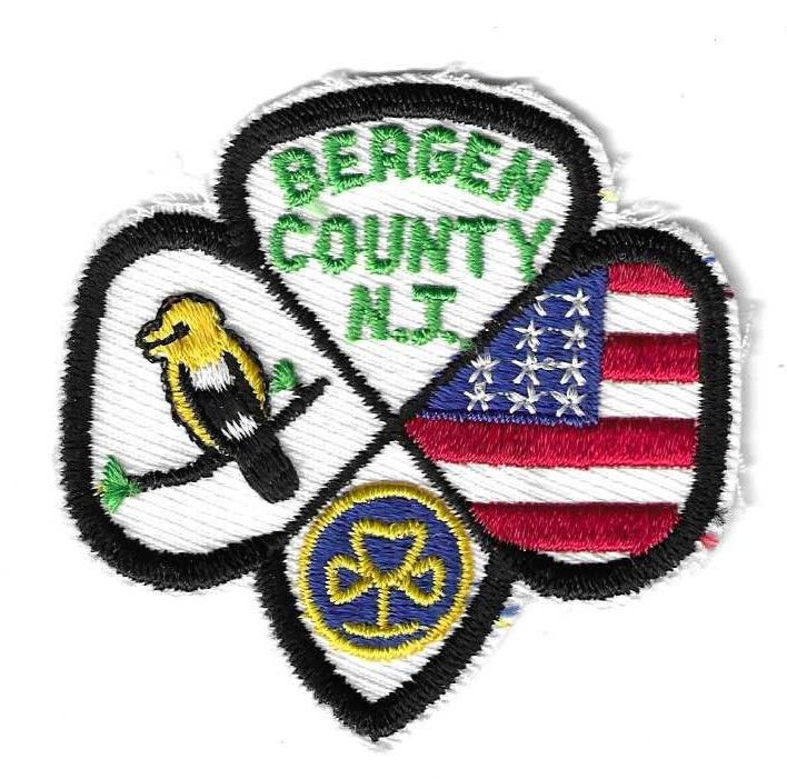 Bergen County NJ council patch (NJ)