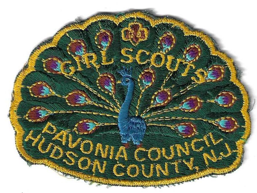 Pavonia Council Hudson Co council patch (NJ)