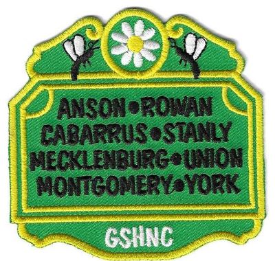 Hornets&#39; Nest Council (GS) council patch (NC)