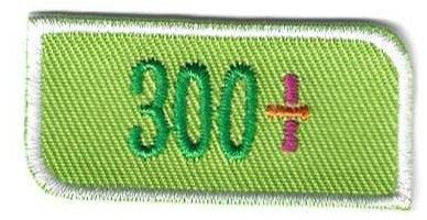 300+ Segment 2025 ABC