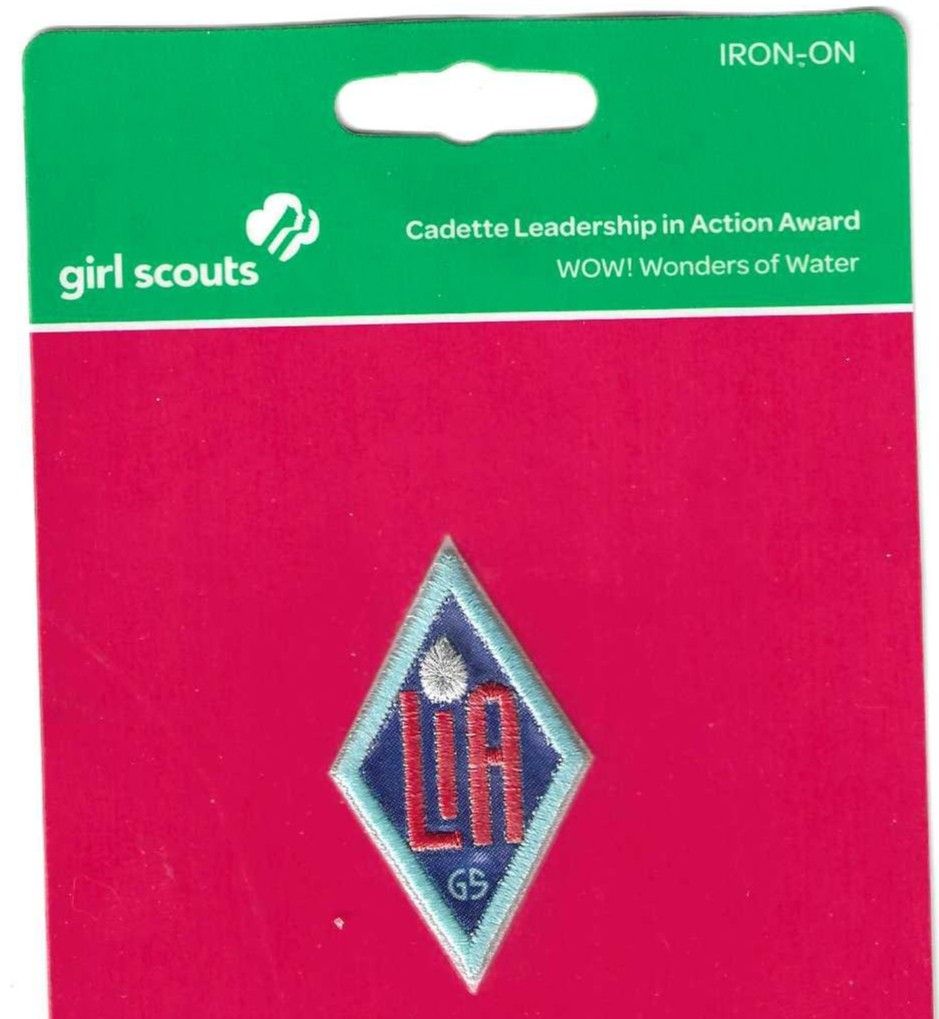 Leadership in Action--WOW 2011-present