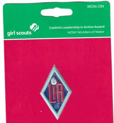 Leadership in Action--WOW 2011-present