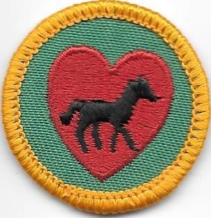 Horse Fan Yellow Border