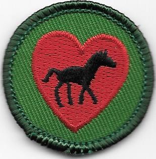 Horse Fan Green Border