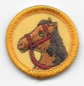 Horse Rider Yellow Border