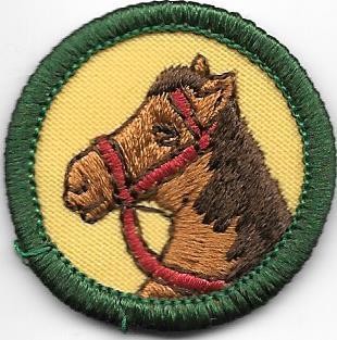Horse Rider Green Border