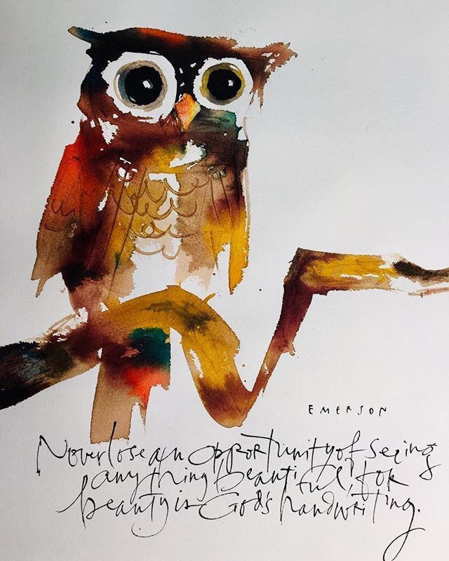 Owl #2