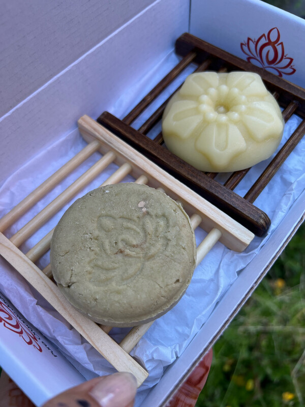 Shampoo and Conditioner Bars Combo