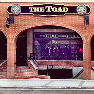 Coaster The Toad in Hole