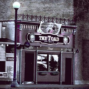 Coaster The Toad on Main