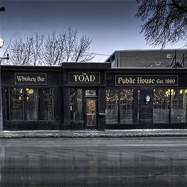 Coaster The Toad in the Hole