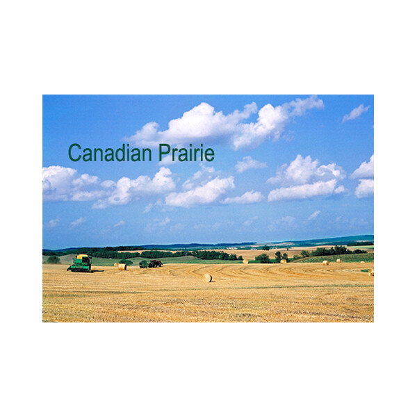 Canadian Prairie