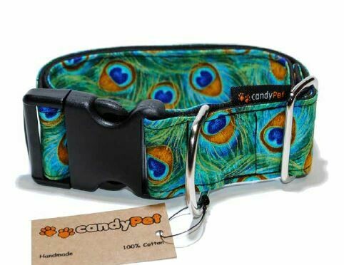 CLICK collar PEACOCK