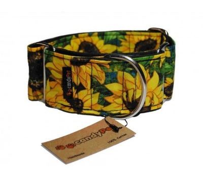 MARTINGALE collar SUNFLOWER