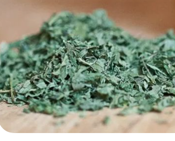 Nettle Leaf Tea