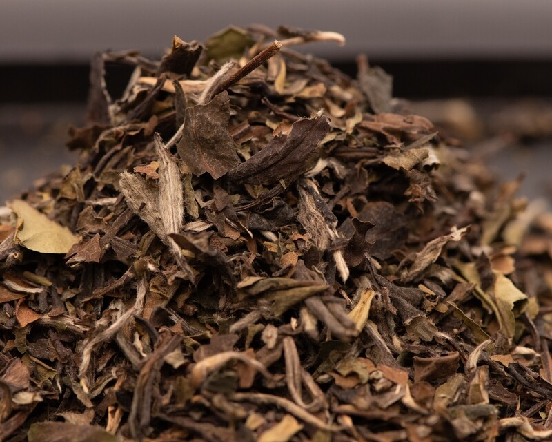 White Peony White Peony