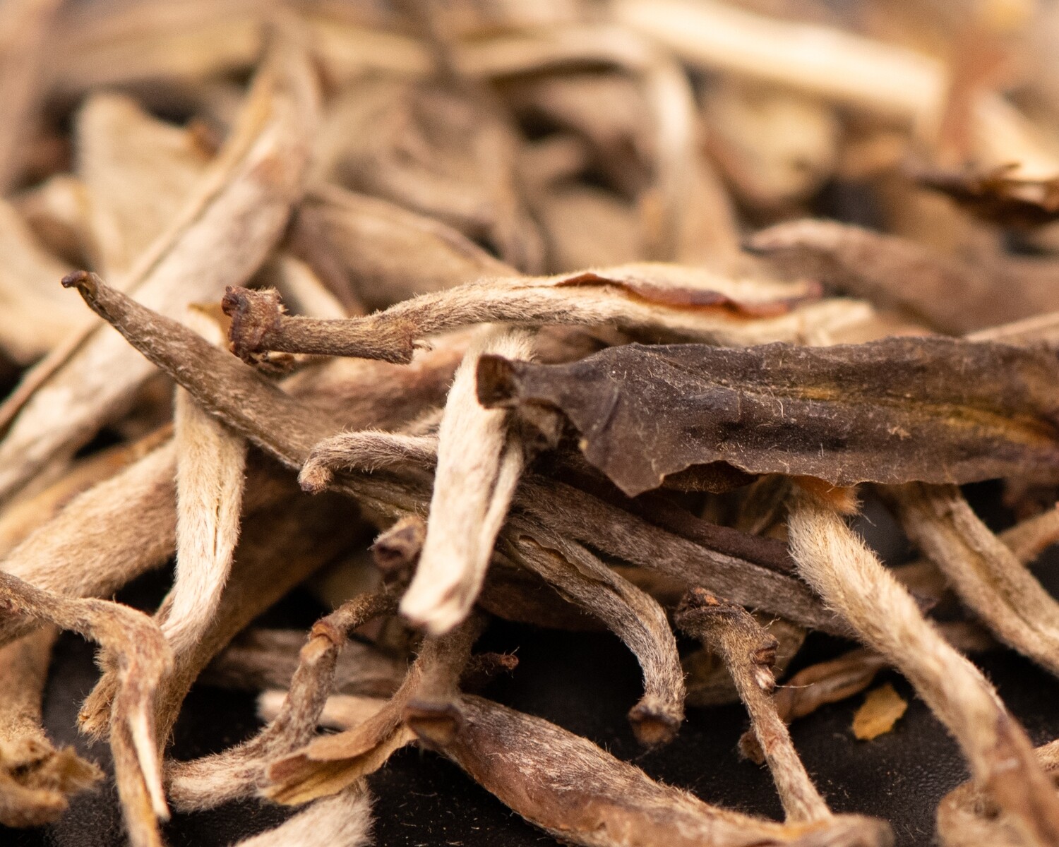 Silver Needle - Master&#39;s Tea