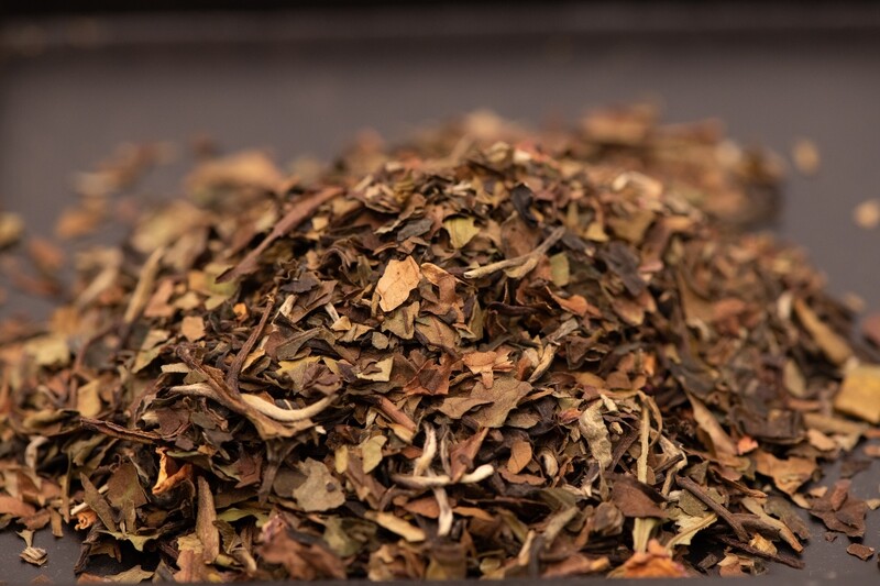 In the Tropics In the Tropics