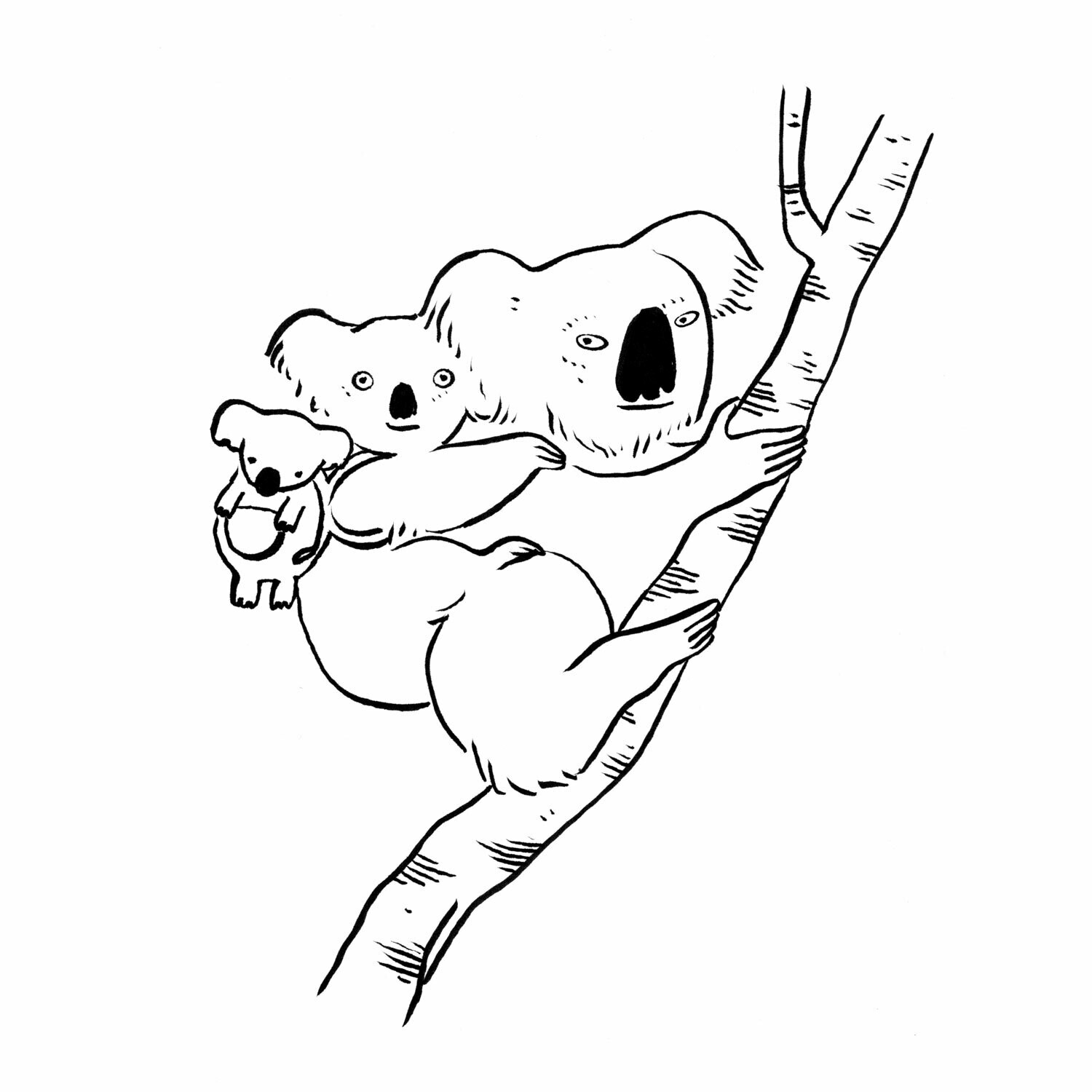 Koala Love Greeting Card