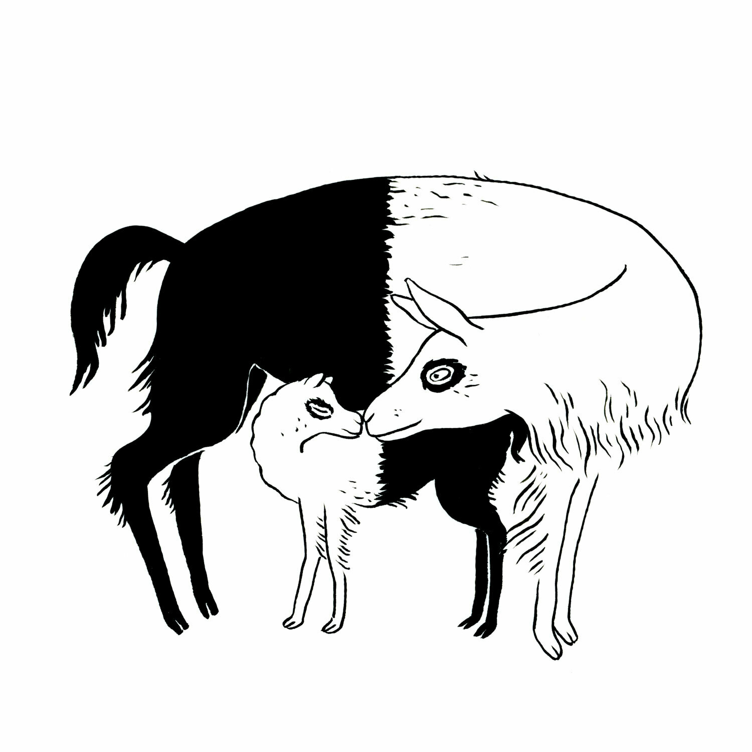 Llama Love Greeting Card