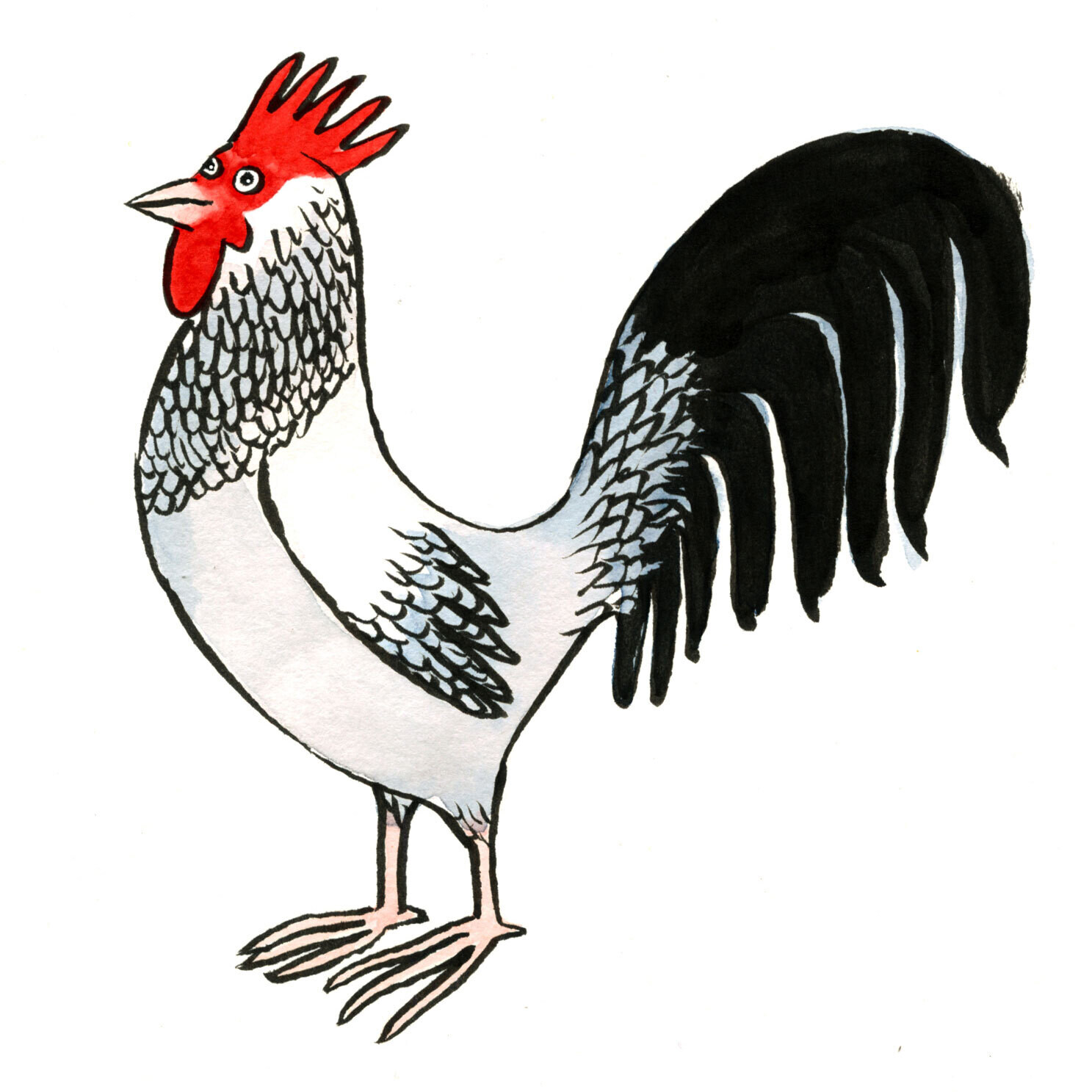 Rooster Greeting Card