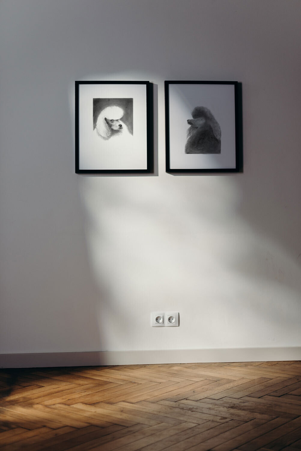 White Poodle Art Print