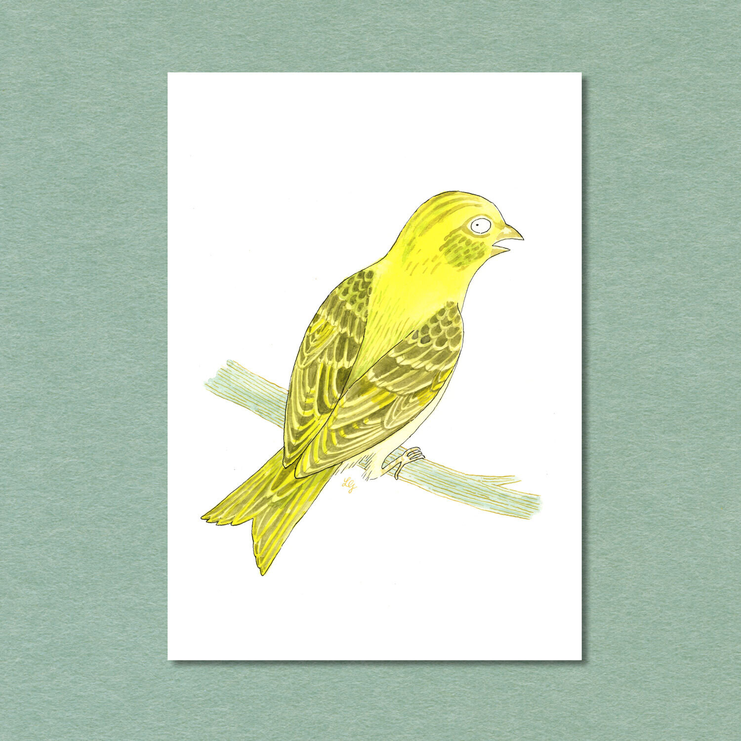 European Serin Songbird Postcard