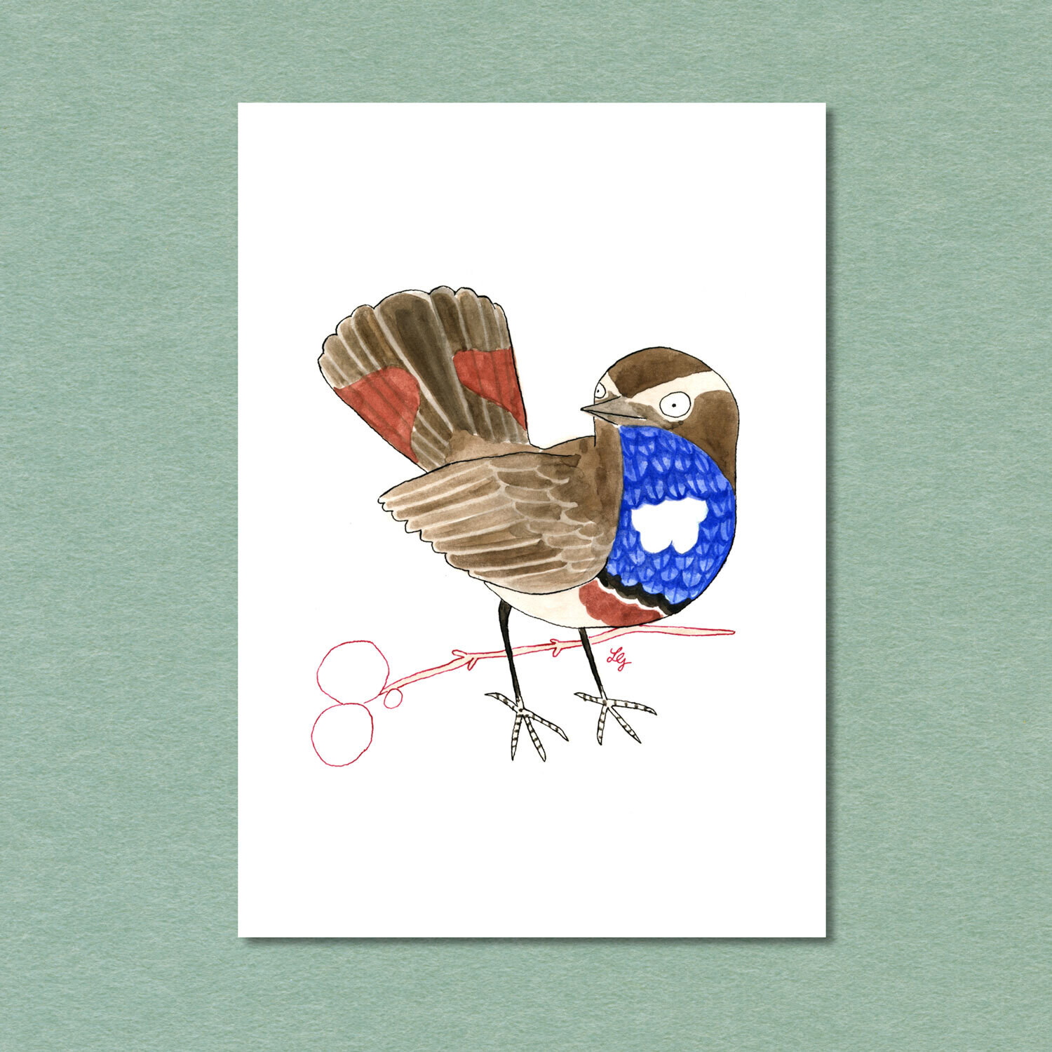Bluethroat Songbird Postcard