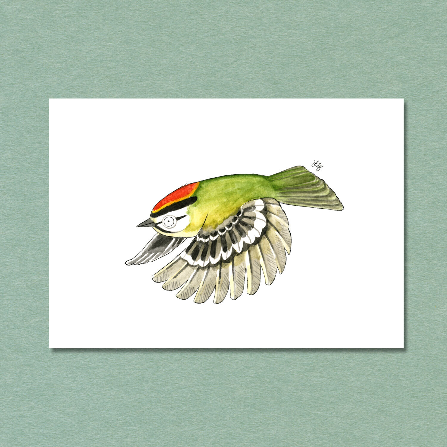 Common Firecrest Songbird Postcard