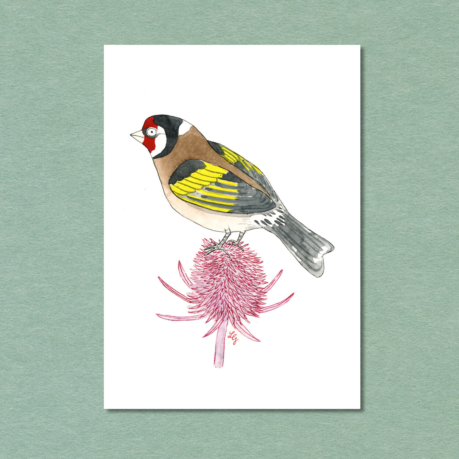 European Goldfinch Songbird Postcard