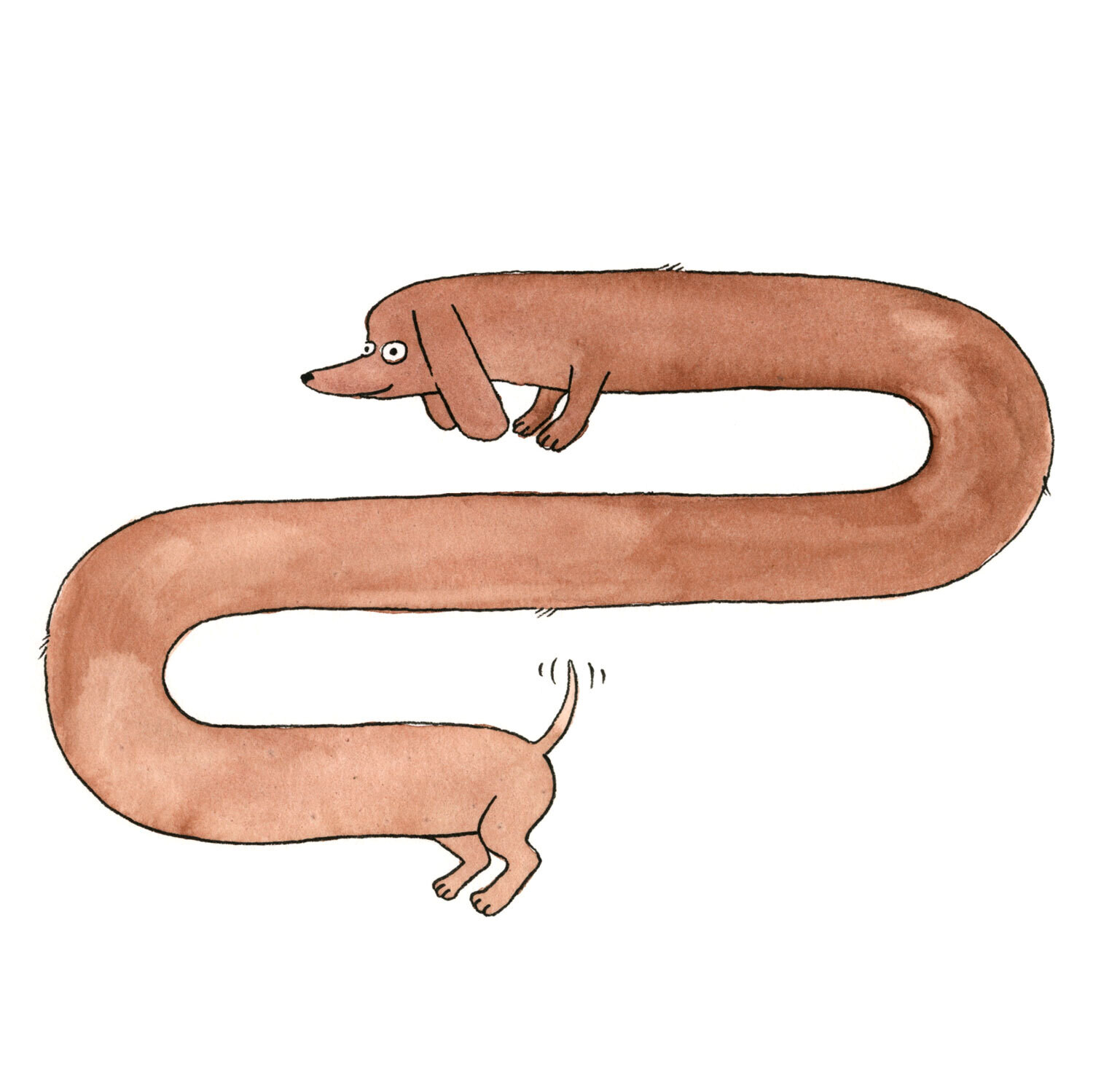 Dachshund Greeting Card
