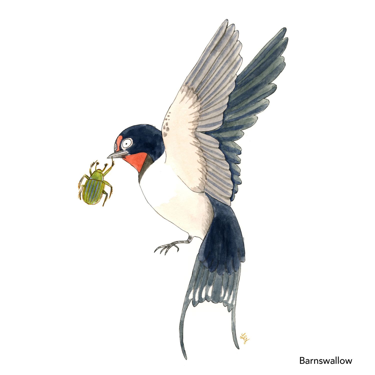 Songbird Postcard Set No.3