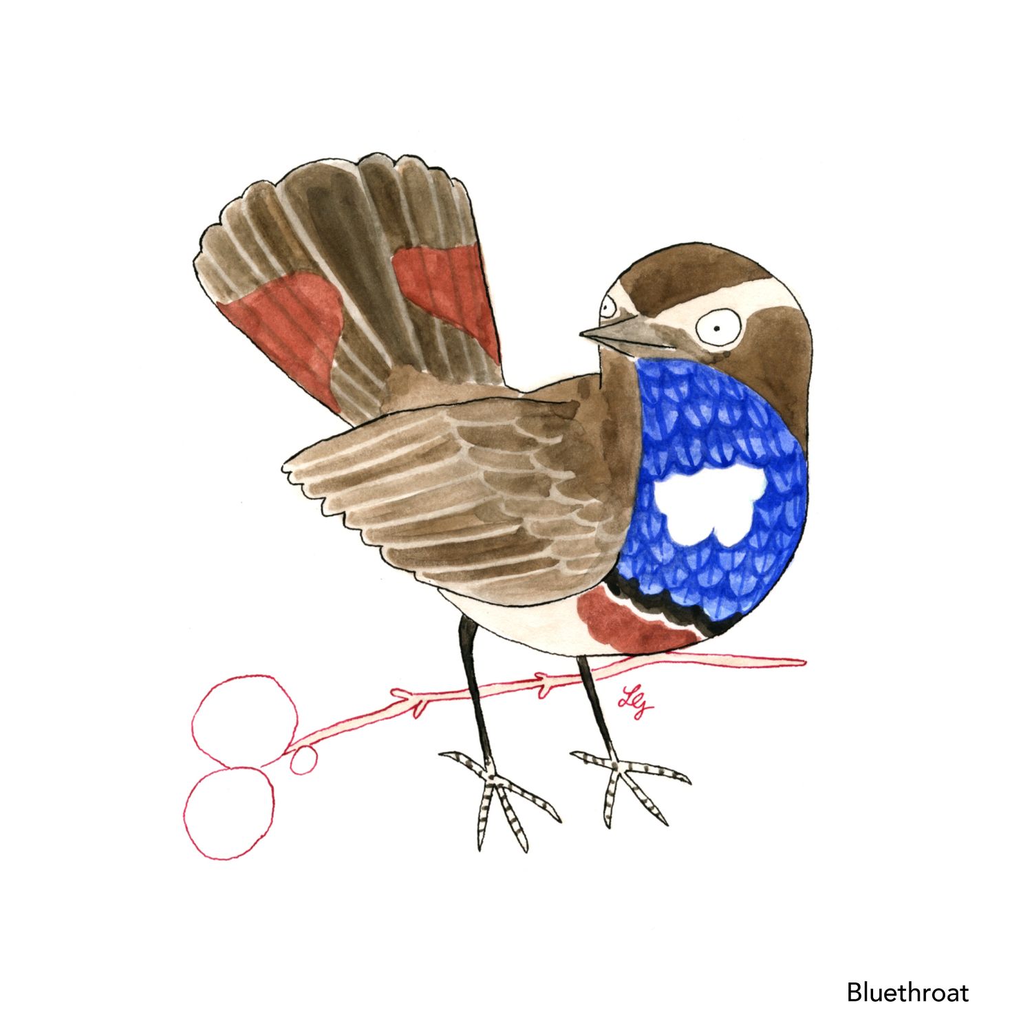 Songbird Postcard Set No.3