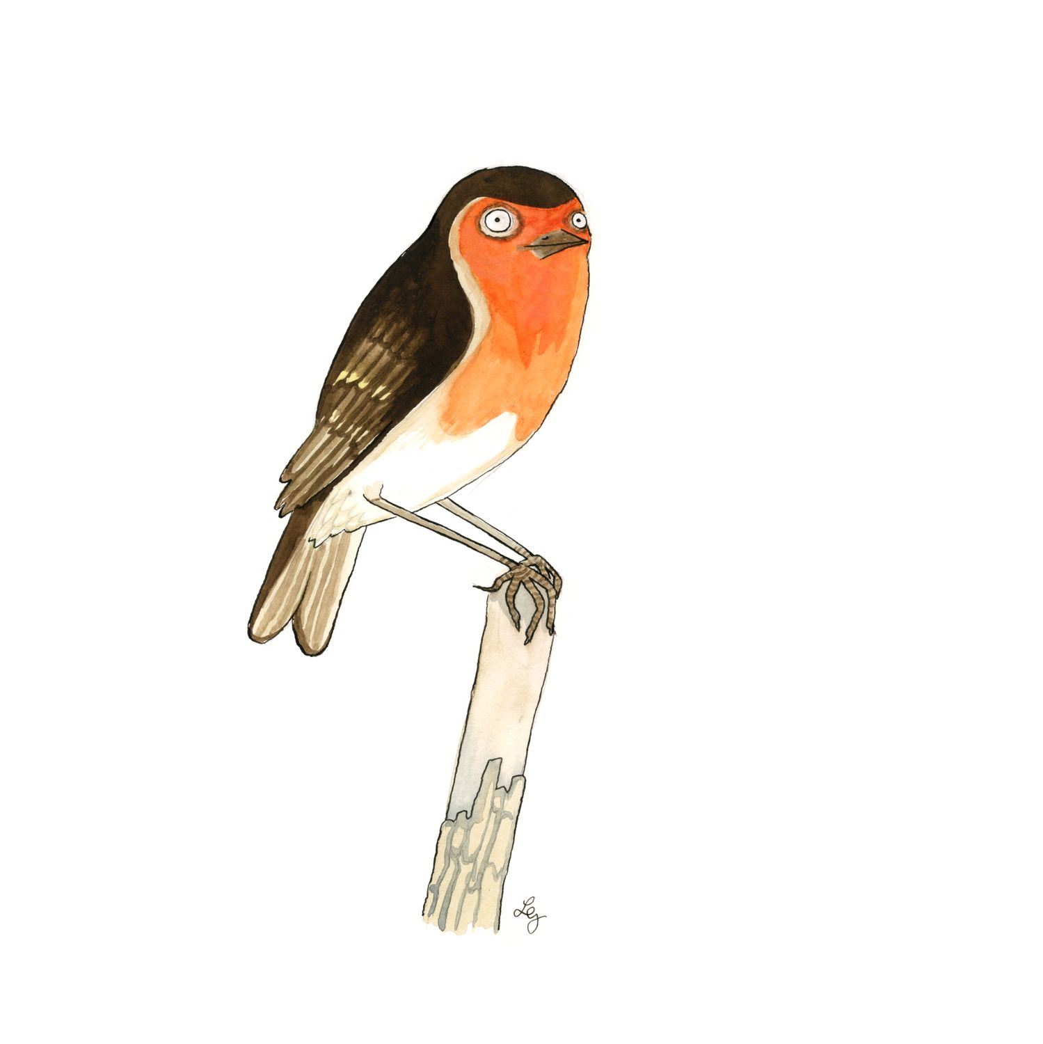 Red Robin Greeting Card