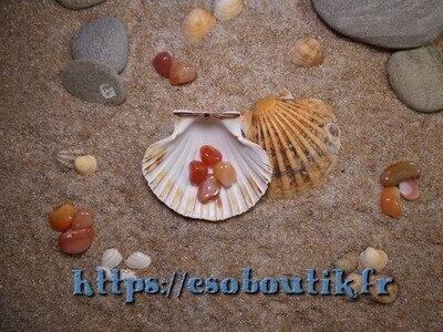 Agate Cornaline 00474