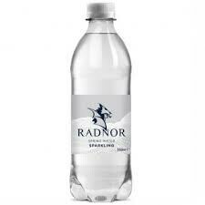 Radnor Sparkling Water 24x500ml