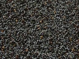 Poppy Seeds 1 x 600g