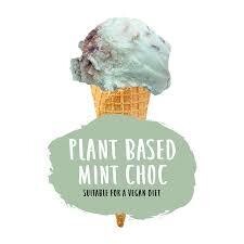 Marshfield Plant-Based Mint Choc Chip Ice Cream 1x2.4ltr
