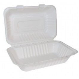 Large Bagasse White Food Boxes (9x6") 1x250