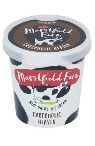 Marshfield Chocoholic Heaven Ice Cream Mini Tubs 12x125ml