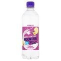 Mountain Mist Pineapple & Passion Fruit Flavoured Sparkling Spring Water 12x500ml