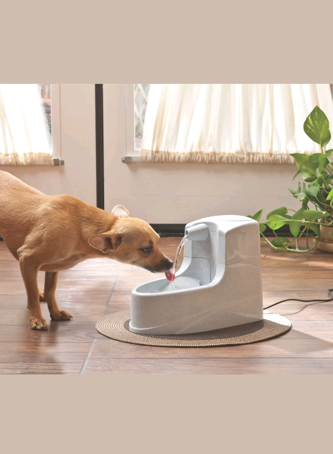 mini pet water fountain