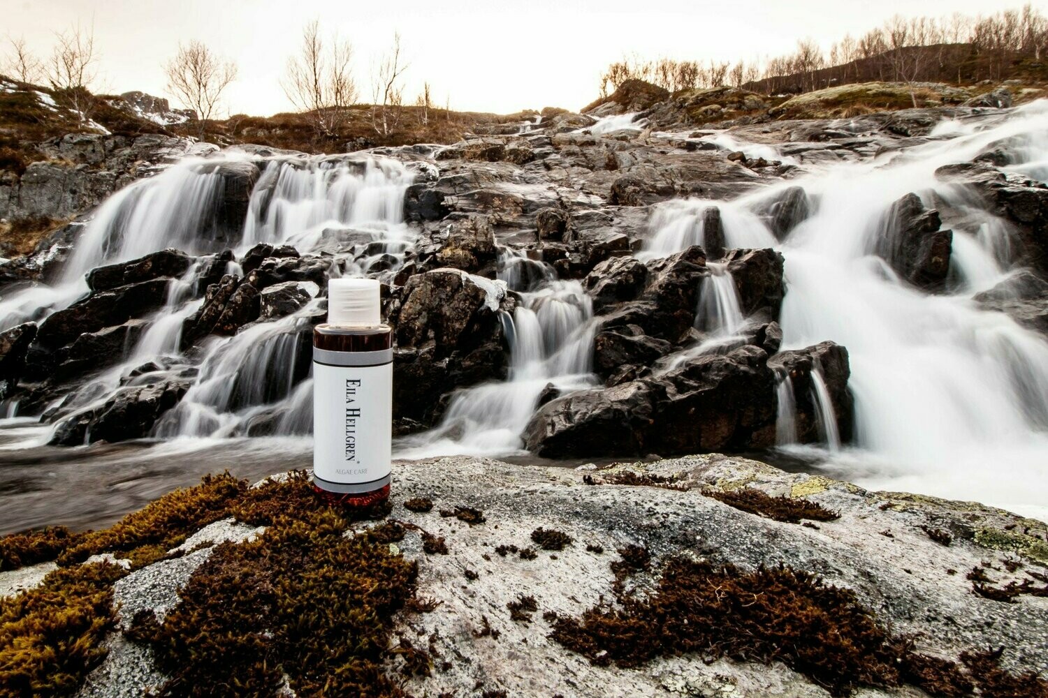 EILA HELLGREN ALGAE CARE