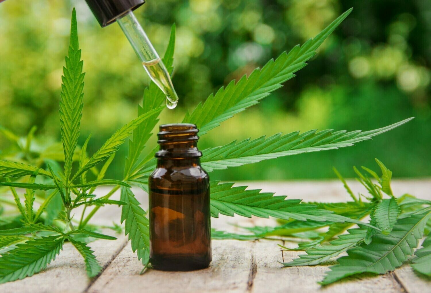 THC Tincture 10%