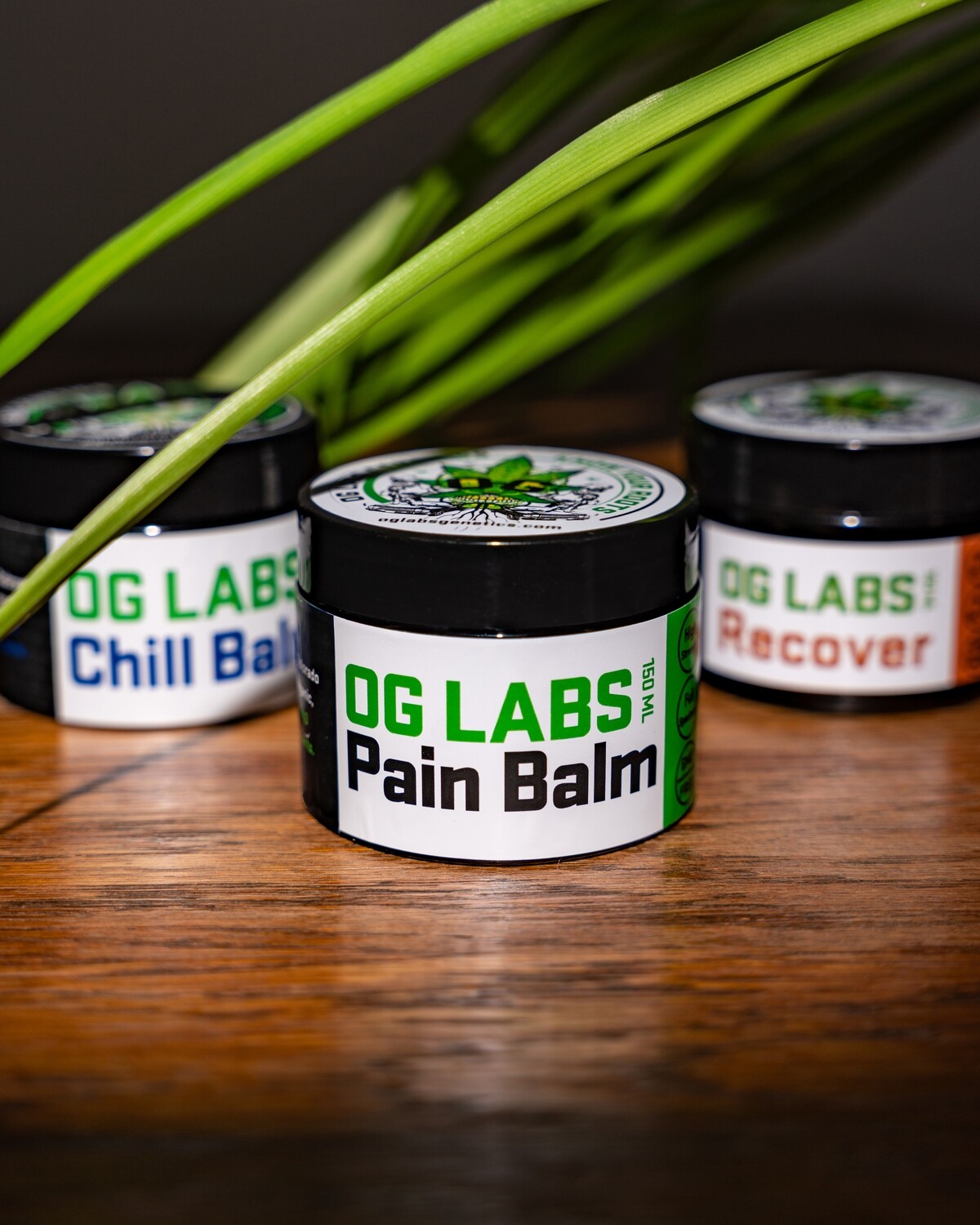 All 3 of our CBD Balms