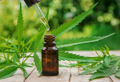 THC Tincture 5%