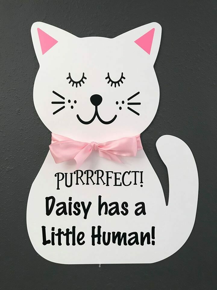Cat Sign