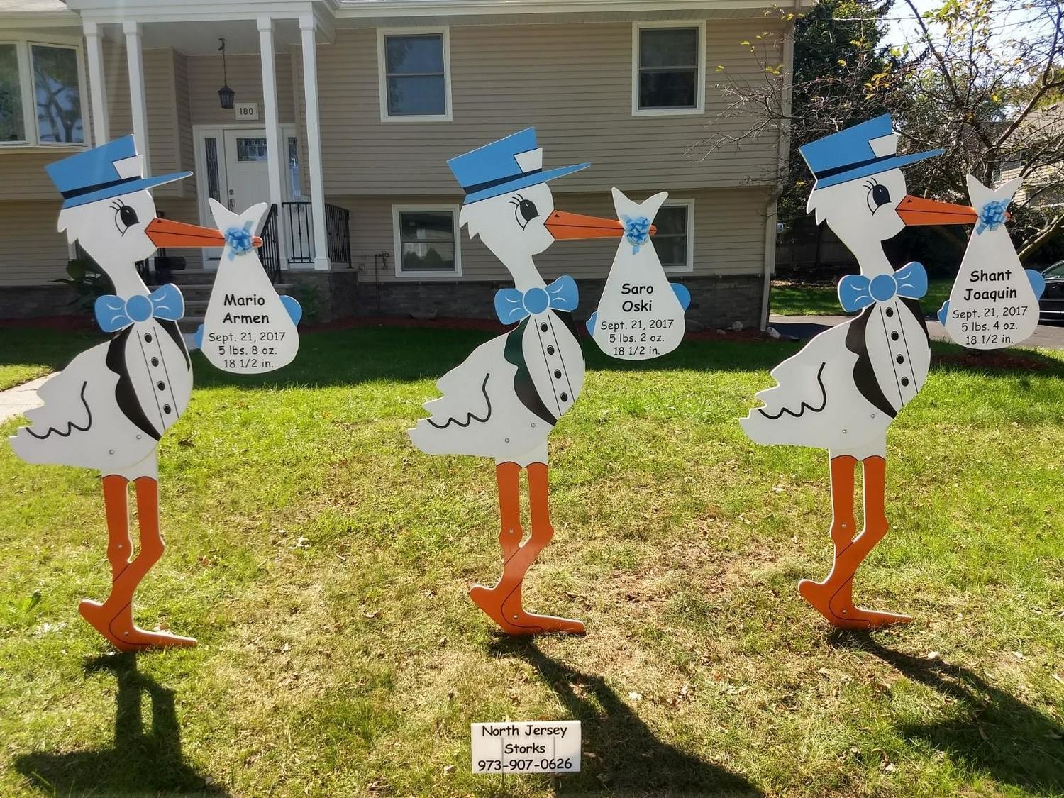 Triplet Stork Yard Signs